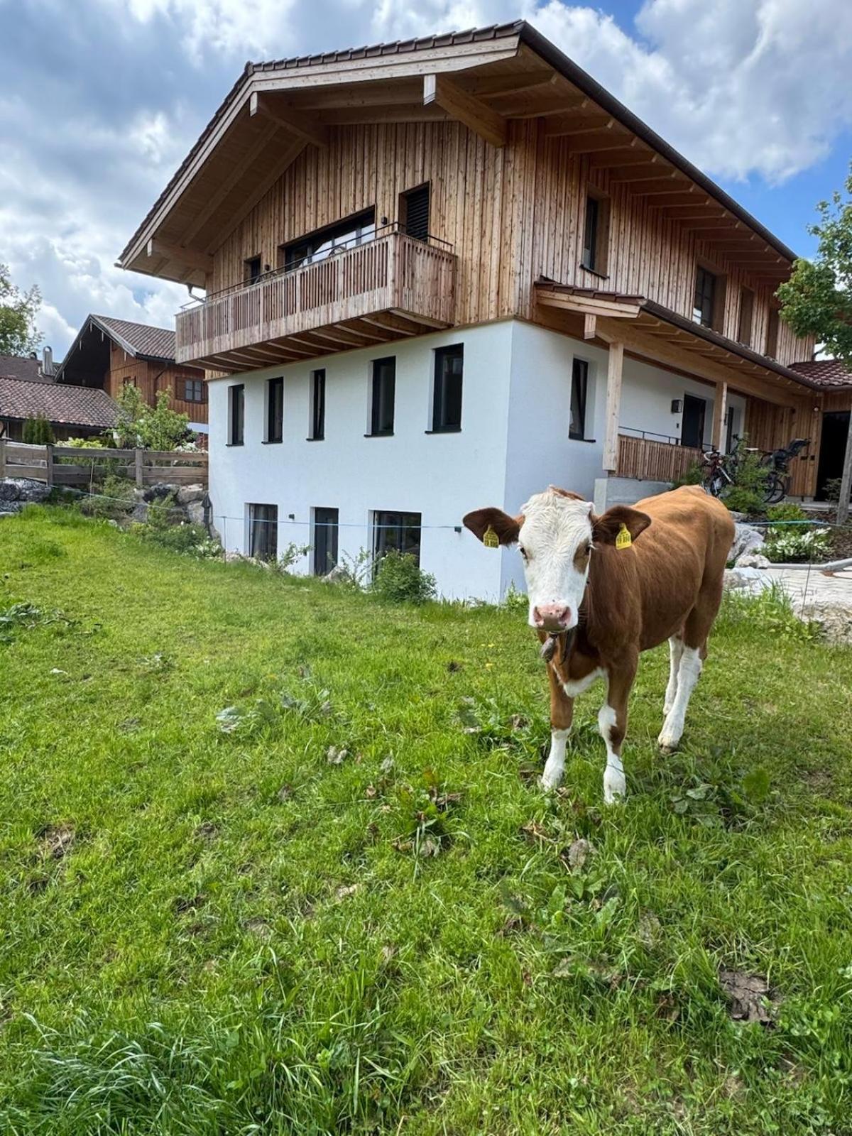 Ferienwohnung Gschwendt Miesbach Exteriér fotografie
